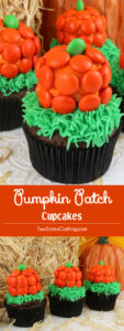 Pumpkin Patch Cupcakes by Two Sisters Crafting