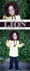 Lion Costume by A Night Owl