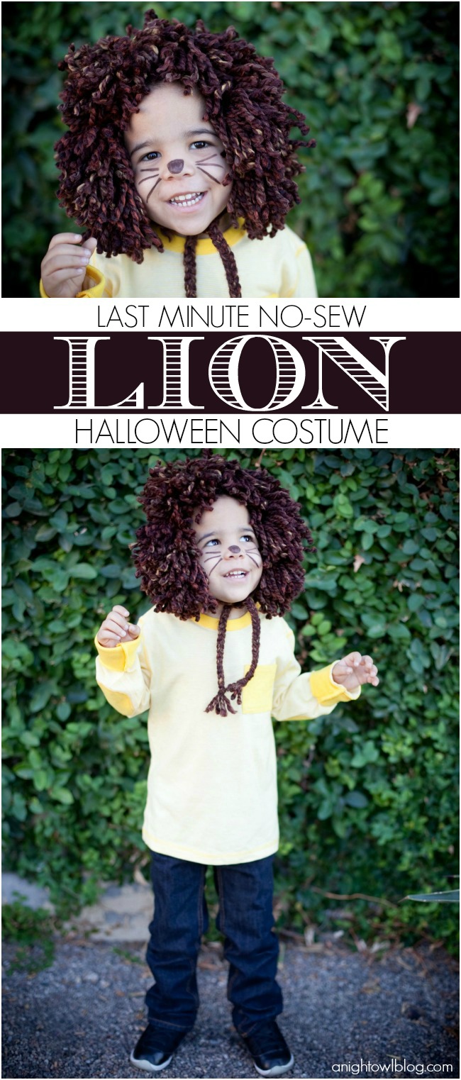 We've found 15 of the Best DIY Halloween Costumes for Kids that would be easy for you to make and your kids will look great Trick or Treating in them on Halloween. You are going to have a hard time deciding which of these Homemade Halloween Costumes to make. Pin these easy to make Kid's Halloween Costume Ideas for later and follow us for more Halloween Costume Ideas. 